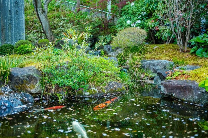 Kamakura: Best Guided Day Tour With Tea Ceremony - Hokokuji Temple: Bamboo Grove and Traditional Japanese Tea Ceremony