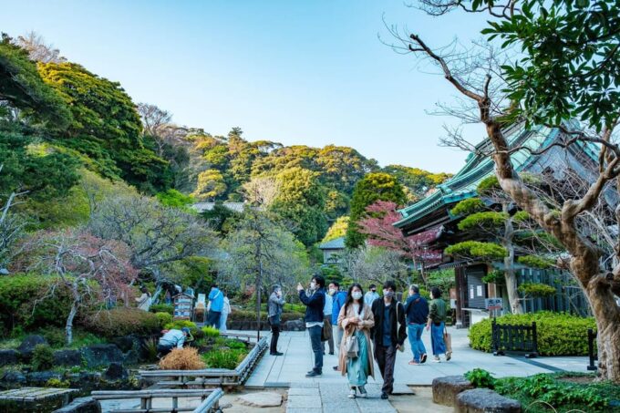 Kamakura: Best Guided Day Tour With Tea Ceremony - Komachi Dori: Stroll Featuring Local Snacks and Charming Shops
