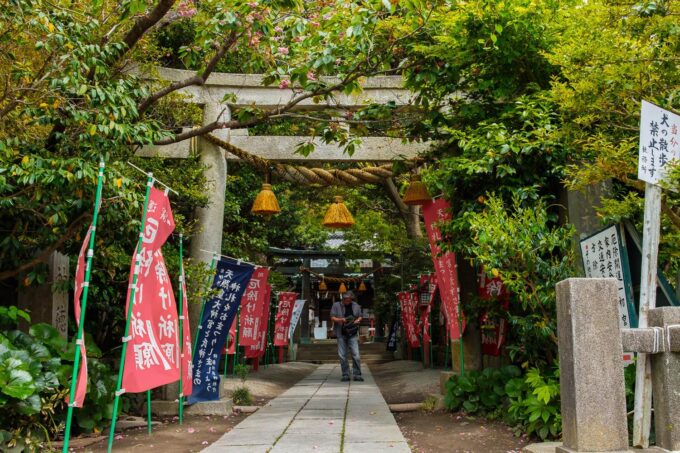 Kamakura: Best Guided Day Tour With Tea Ceremony - Transportation Details