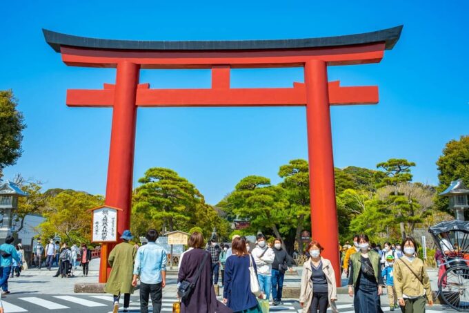 Kamakura: Best Guided Day Tour With Tea Ceremony - Booking and Participant Information