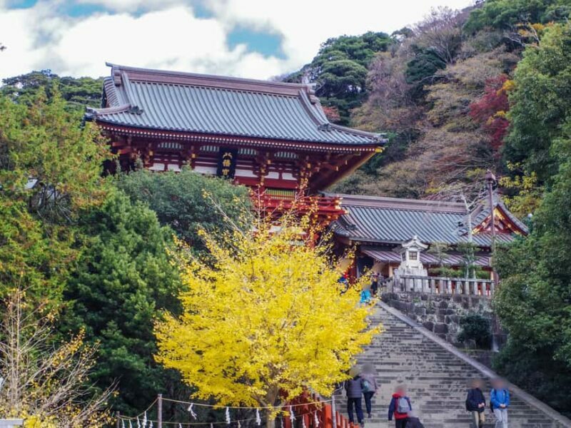 Kamakura: Customized Half-Day Tour with Professional Guide - A Closer Look at the Itinerary