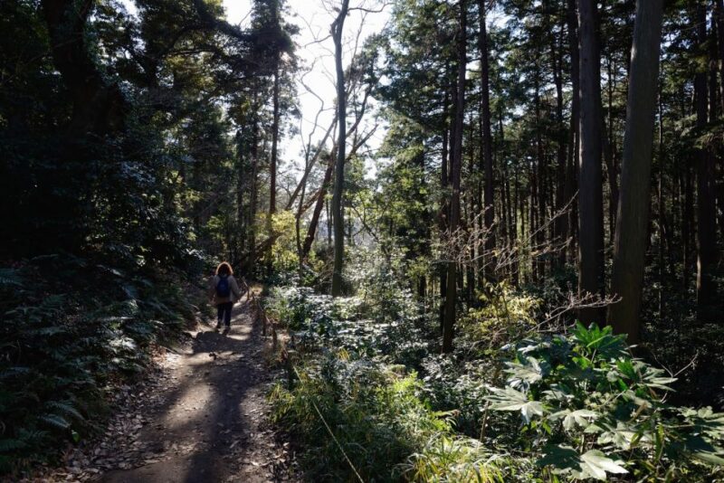 Kamakura: Daibutsu Hiking Trail Tour With Local Guide - Key Points