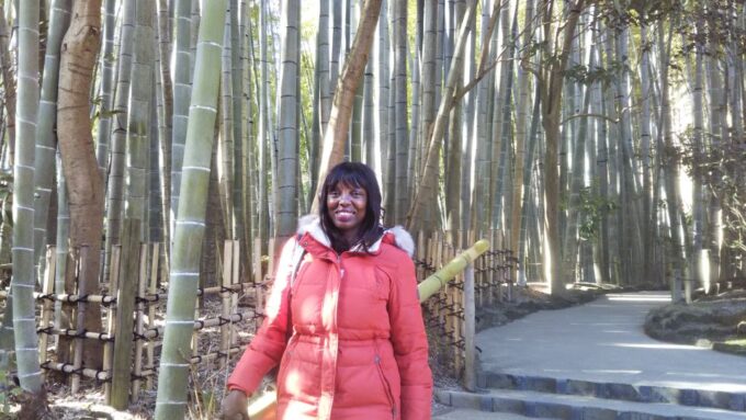 Kamakura: Daibutsu Hiking Trail Tour With Local Guide - Immersive Exploration