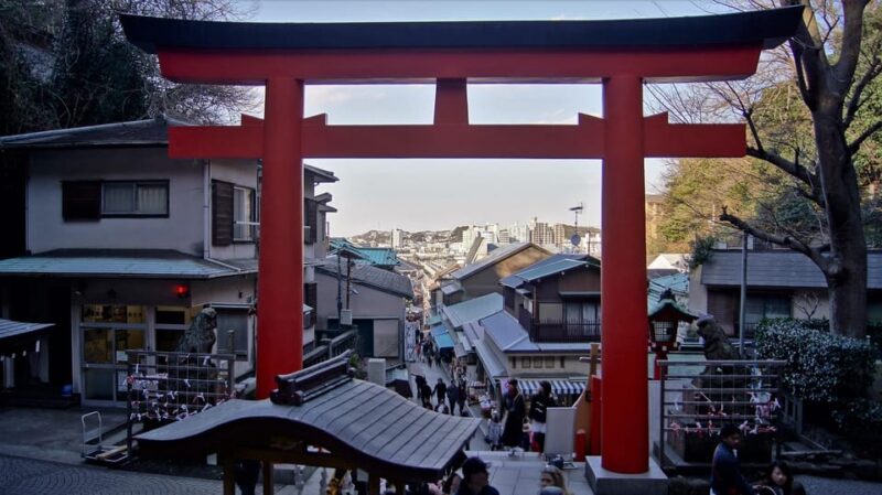 Kamakura & Enoshima 1 Day Bus Tour From Tokyo and Yokohama - Important Information and Recommendations