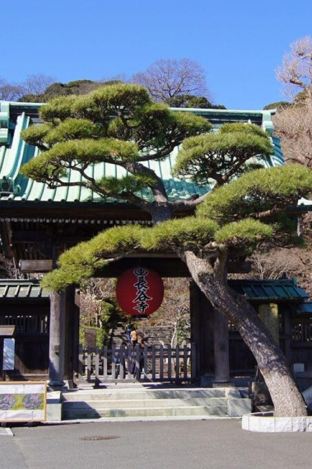 Kamakura & Enoshima 1 Day Bus Tour From Tokyo and Yokohama - Departure and Pick-up Locations