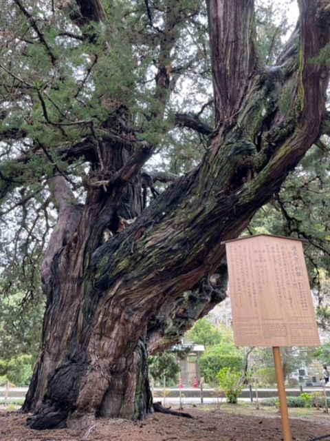 Kamakura; First Samurai Capital Walking Tour - Frequently Asked Questions