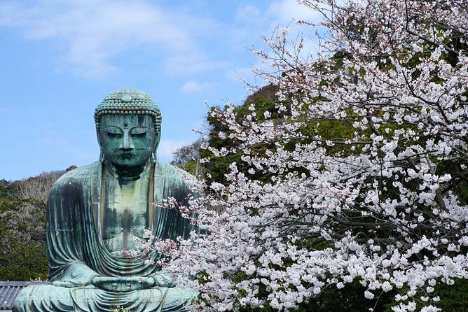 Kamakura Full Day Tour: Kotoku-in & Enoshima & Hachimangu Shrine - Cancellation Policy