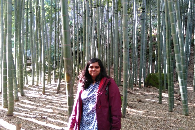 Kamakura Full Day Tour With Licensed Guide and Vehicle - Confirmation and Accessibility