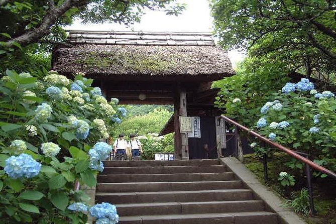 Kamakura Full Day Tour With Licensed Guide and Vehicle - Pricing and Inclusions