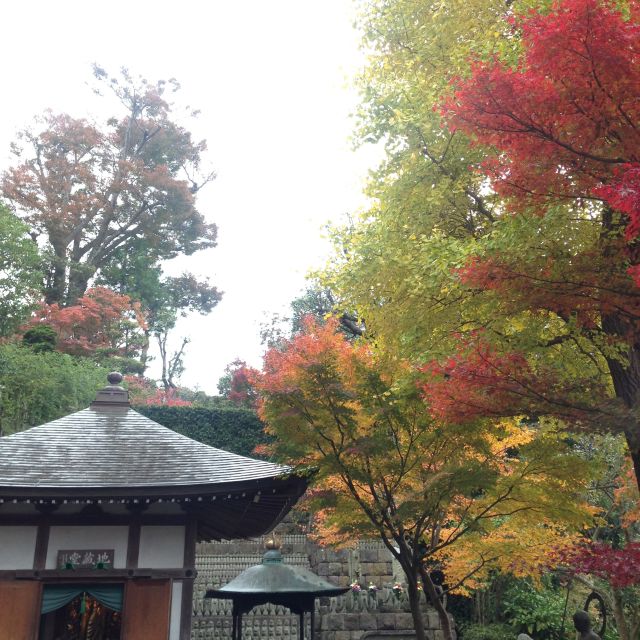 Kamakura: Great Buddha, Hase Temple, & Komachi Street Tour - Inclusions