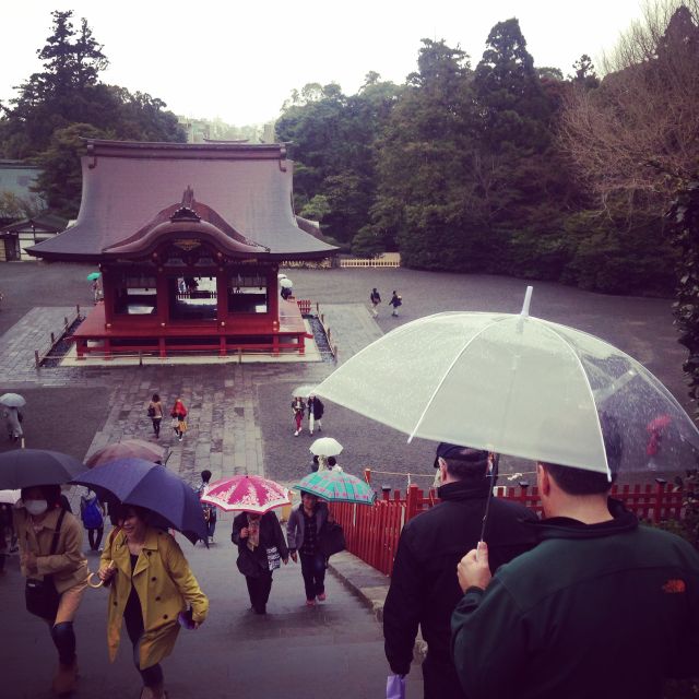 Kamakura: Great Buddha, Hase Temple, & Komachi Street Tour - Train From Tokyo