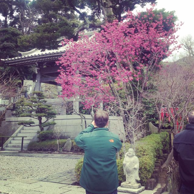 Kamakura: Great Buddha, Hase Temple, & Komachi Street Tour - Optional Visits