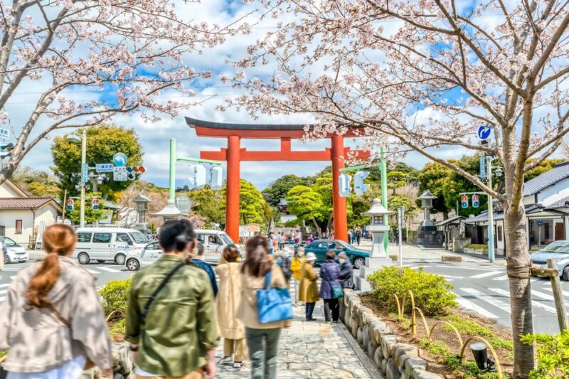 Kamakura: Greedy Gourmet and Temple Tour - Tsurugaoka Hachimangu Shrine: A Significant Historical Landmark