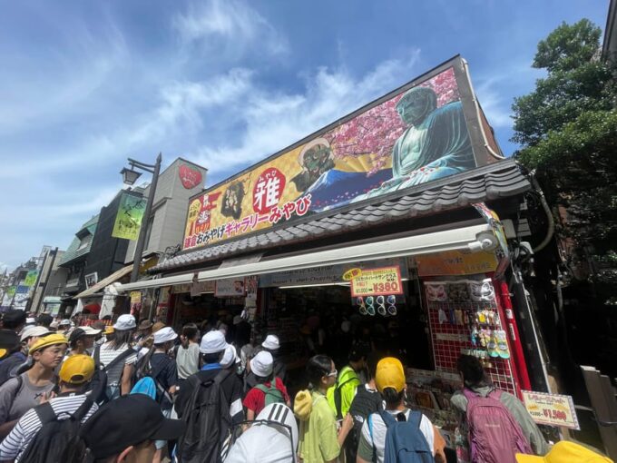 Kamakura: Greedy Gourmet and Temple Tour - An Excursion Balancing Tradition and Modernity