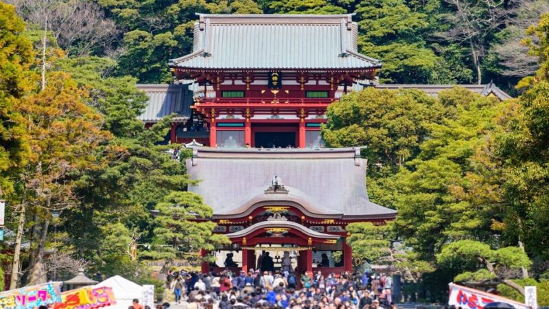 Kamakura Half Day Tour With a Local Expert Guide - Tsurugaoka Hachimangu Shrine