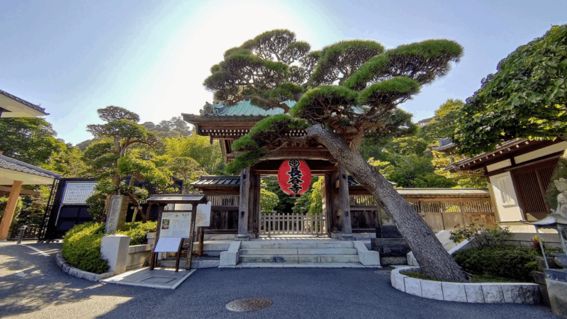 Kamakura Half Day Tour With a Local Expert Guide - Zen Temples in Kamakura