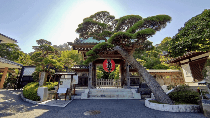 Kamakura Half Day Tour With a Local Expert Guide - Breathtaking Scenery and Authentic Cuisine