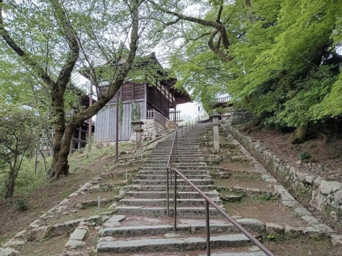 Kamakura Half Day Tour With a Local Expert Guide - Logistics, Accessibility, and Customer Reviews