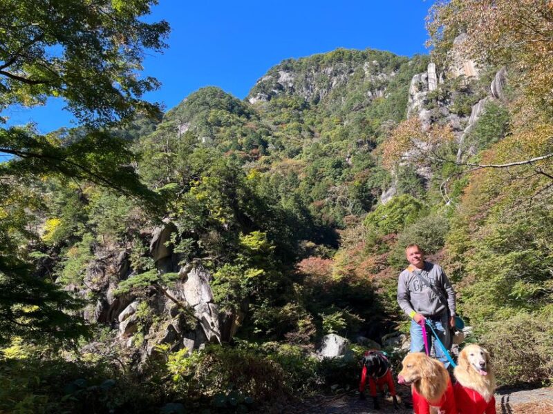 Kamakura Half Day Tour With a Local - Cultural Insights