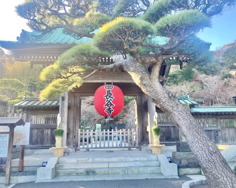 Kamakura: Half Day Walking Tour & Japanese Sweets - Enjoying Japanese Sweets and Matcha Tea