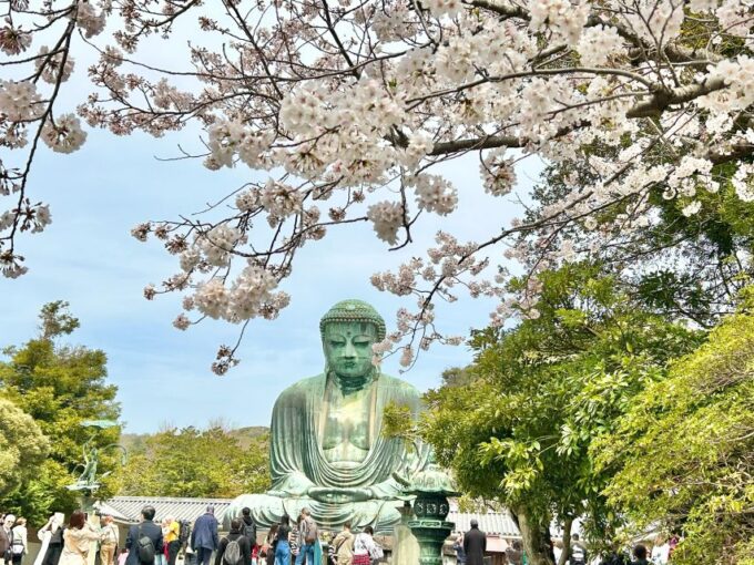 Kamakura: Half Day Walking Tour & Japanese Sweets - Booking and Reservations