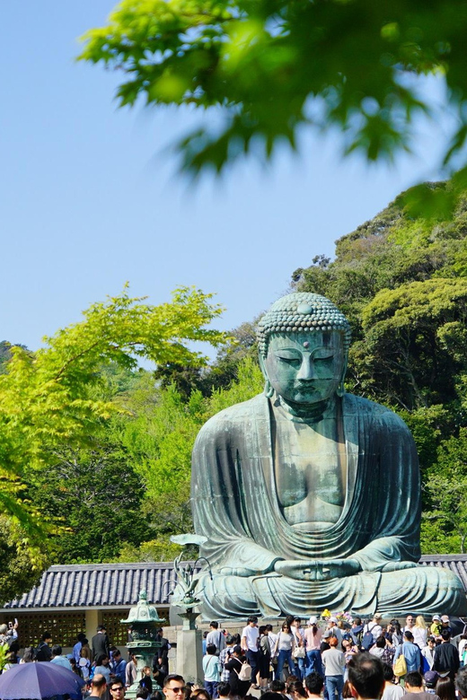 Kamakura Half Day Walking Tour With Local Experience - Marveling at the Great Buddha