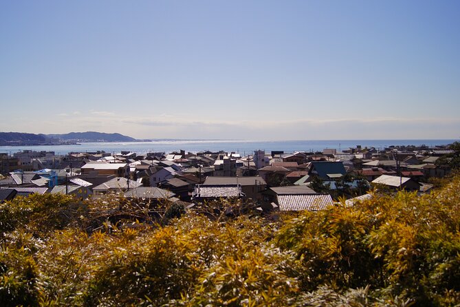 Kamakura Half Day Walking Tour With Local Experience - Snacks and Refreshments Included