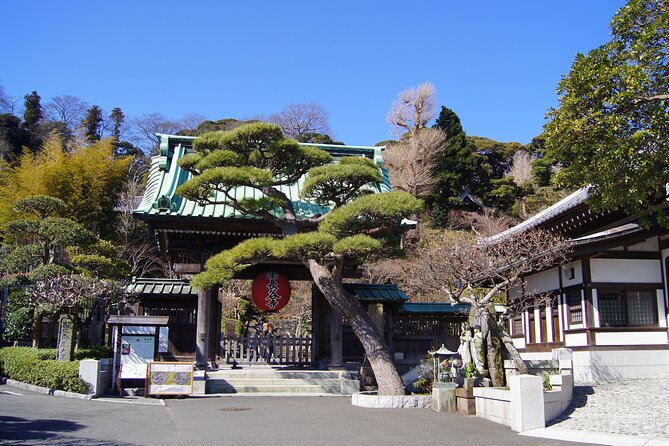 Kamakura Half Day Walking Tour With Local Experience - Group Size and Accessibility
