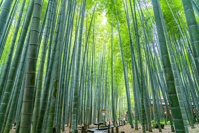 Kamakura Heritage Bike or Walk Tour With Ex-Rickshaw Guide - Booking Information