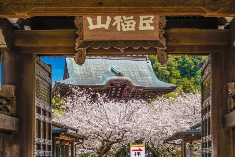 Kamakura: Highlights of the Japanese Riviera (4 or 8 Hours) - Cultural Significance