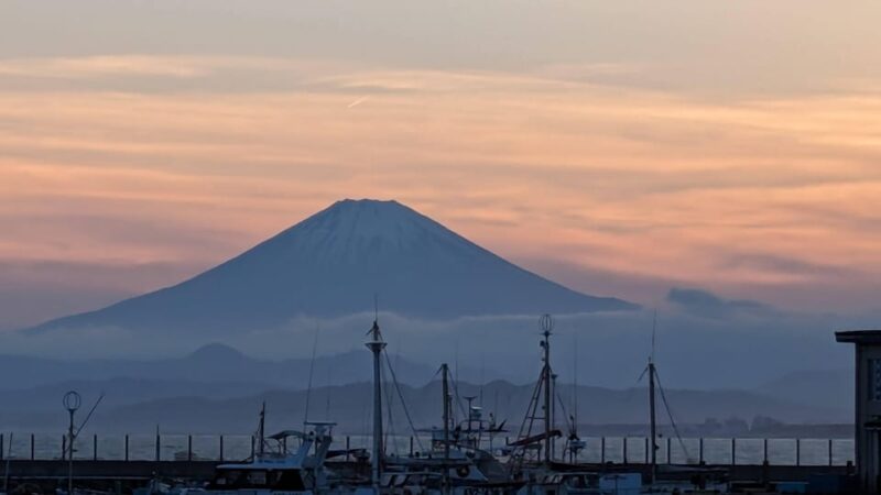 Kamakura: Highlights of the Japanese Riviera (4 or 8 Hours) - Tour Logistics