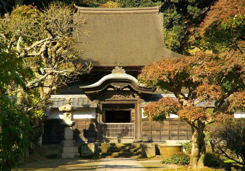 Kamakura: Highlights of the Japanese Riviera (4 or 8 Hours) - Customer Experience and Feedback