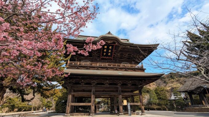 Kamakura: Highlights of the Japanese Riviera (4 or 8 Hours) - Frequently Asked Questions