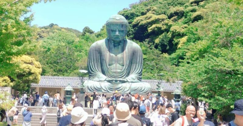 Kamakura: Hiking With Private Guide in English - Key Points