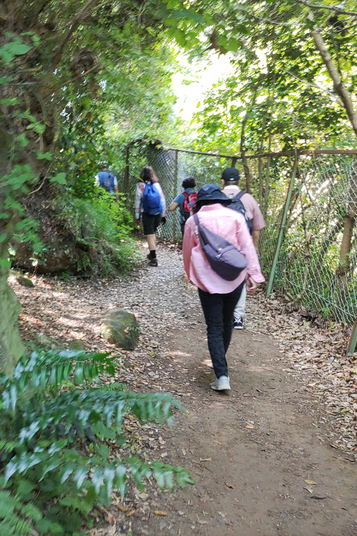 Kamakura: Hiking With Private Guide in English - Visiting Kōtoku-in and Hase-dera