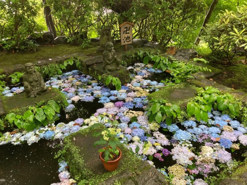 Kamakura: Ninshō's Trail Game With Online Course - Inclusions for the Experience