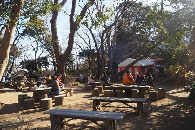 Kamakura Private Cultural and Historical Hiking Tour - Visiting Iconic Temples and Shrines