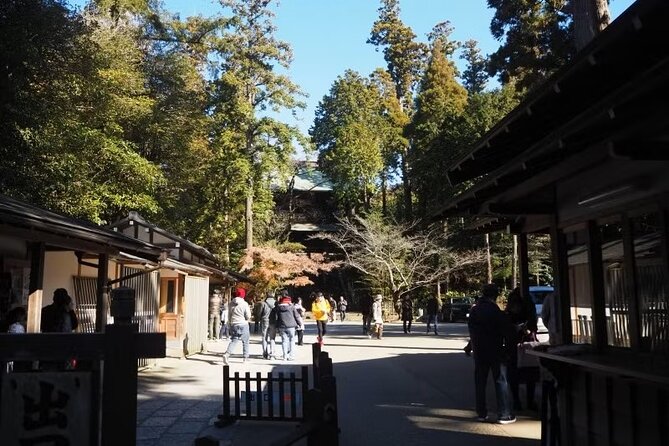 Kamakura Private Cultural and Historical Hiking Tour - Personalized Attention and Flexibility
