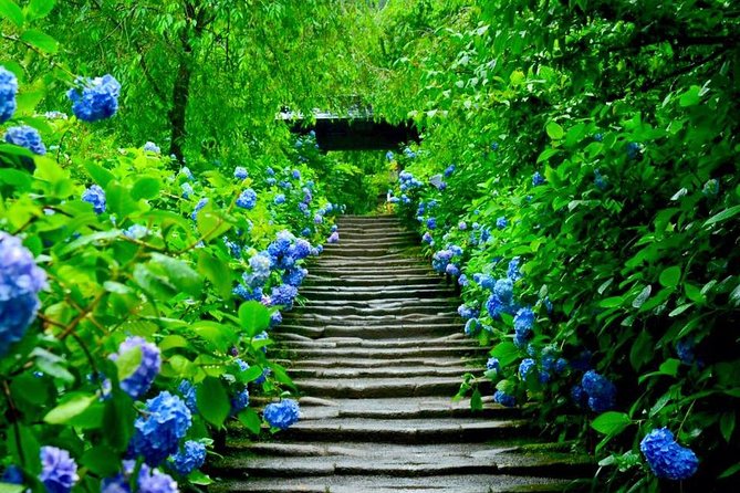 Kamakura Private Custom Tour - Cultural Experiences