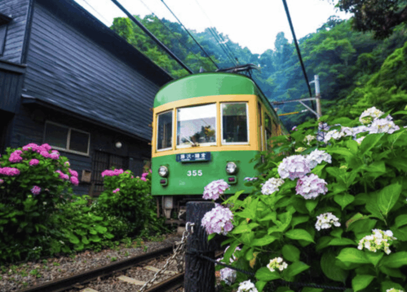 Kamakura Private Custom Tour With Local Guide - Exploring Kamakuras Main Sites