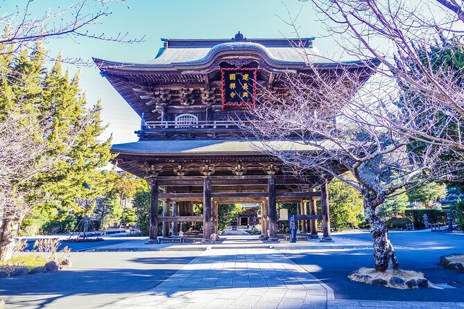 Kamakura Private Guided Tour With Traditional Experiences - Tour Duration and Accessibility