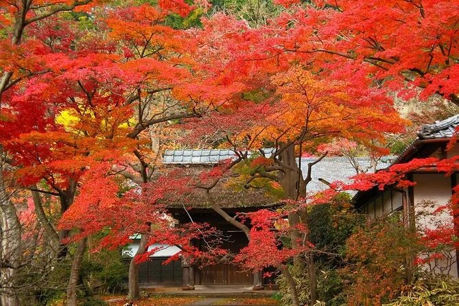 Kamakura Private Photoshoot Tour (Optional Kimono Wearing) - Admission Fees and Costs