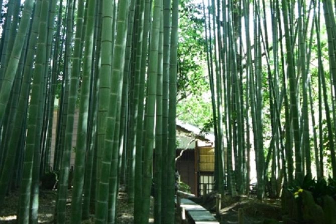 Kamakura Private Tour by Public Transportation - Pricing and Group Size