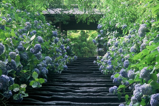 Kamakura Temples and Enoshima Private Tour - Meeting and Pickup