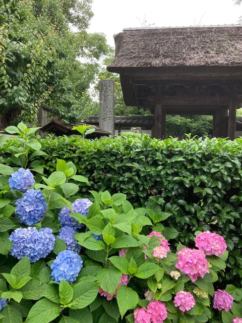 Kamakura: Tour on the Works of Ninsho in English - Overview of the Online Course
