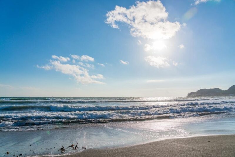 Kamakura: Tour on the Works of Ninsho in English - Preliminary Online Course