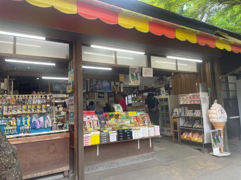 Kamakura: Visit Daibutsu and Shopping Experience - Unique Perspective From Inside the Daibutsu