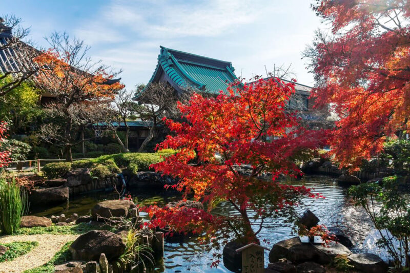 Kamakura & Yokohama One Day Private Trip With English Driver - Discounted Pricing and Reservations