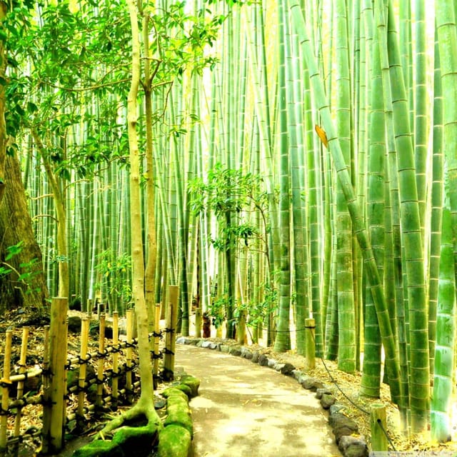 Kamakura & Yokohama One Day Private Trip With English Driver - Yokohamas Cultural Landmarks