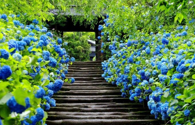 Kamakura & Yokohama One Day Private Trip With English Driver - Pickup and Drop-off Locations